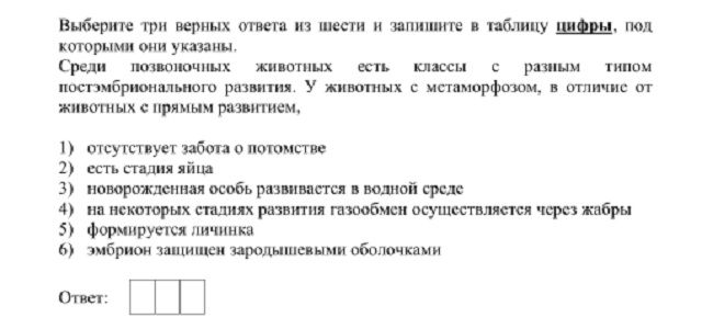 Зайти на кракен без тора