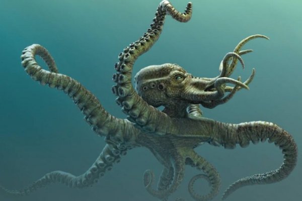 Kraken рабочее зеркало onion