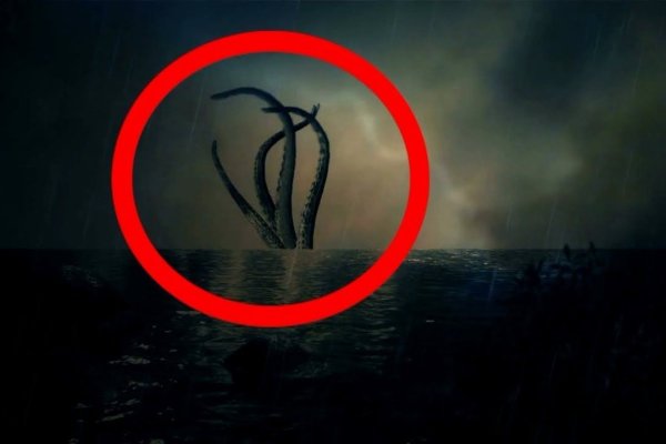Kraken 20at