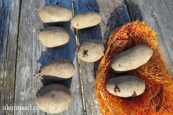 Кракен актуальная ссылка тор