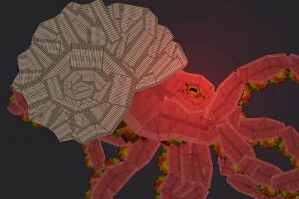 Kraken 6 at