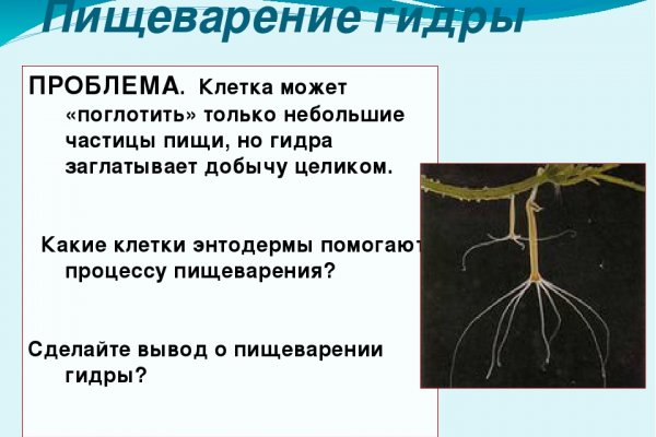 Где найти рабочую ссылку кракен