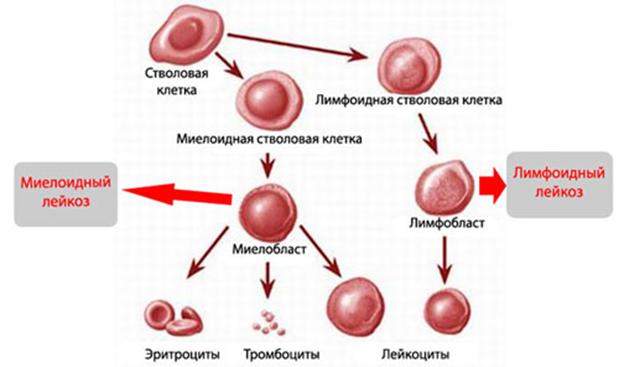Кракен актуальные