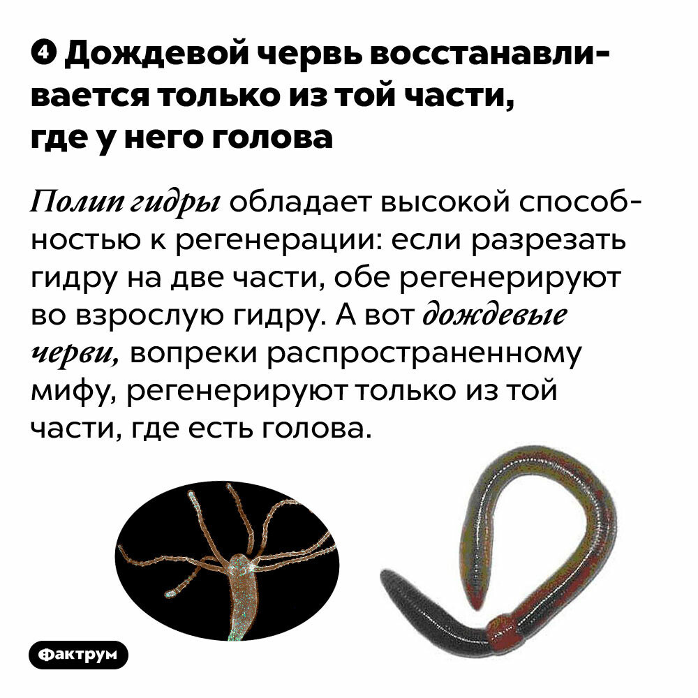 Реальные ссылки кракен